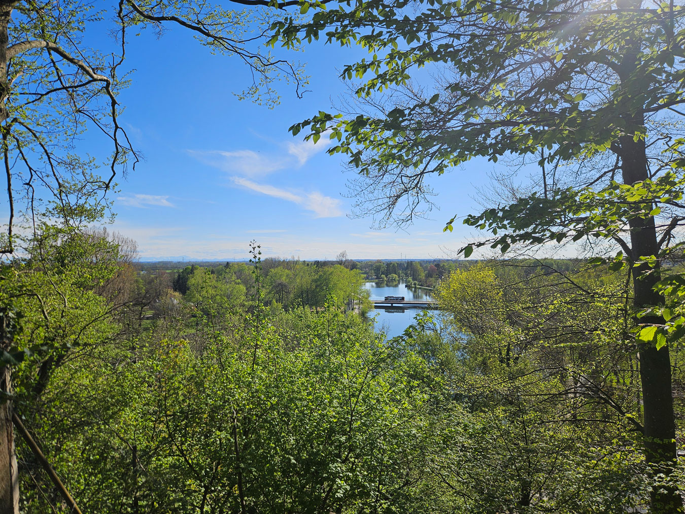 Amper Fluss mit Bäumen